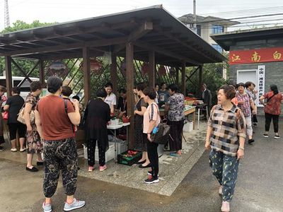 这辆车，“茶叶经济”好乘凉”、“乡村地摊”搭上“乡村旅游”富民有新路